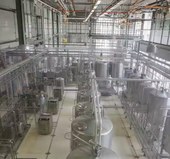 BUTEC LPB1000 – Ligne complète de production de beurre et fromage (500 à 1000L)